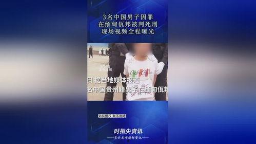 缅甸佤邦爆料视频最新,揭秘神秘势力动态