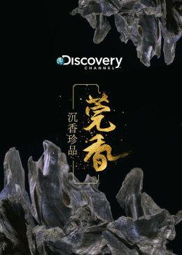 沉香今日爆料最新视频